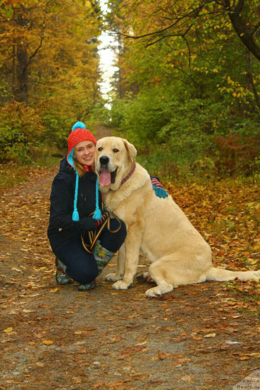 Фотография № 214904