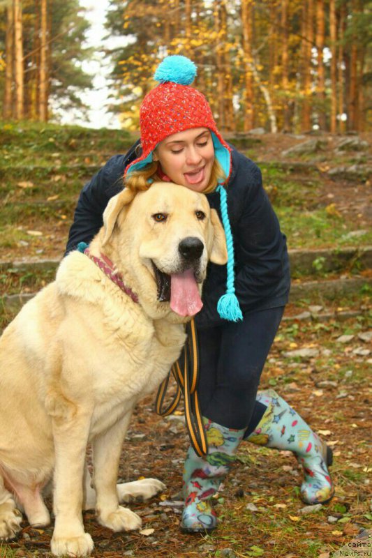 Фотография № 214906