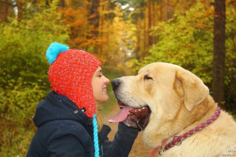 Фотография № 214907