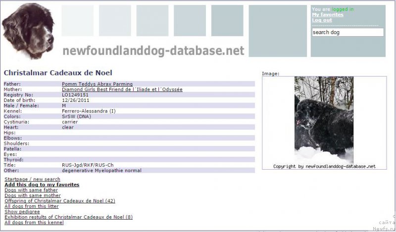 Фотография № 214913