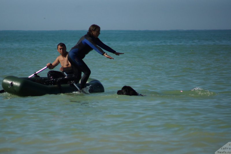 Фотография № 214917