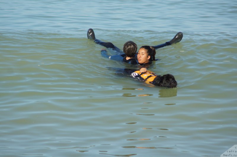 Фотография № 214918