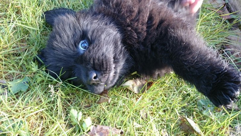 Фотография № 214925