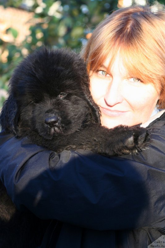 Фотография № 214932