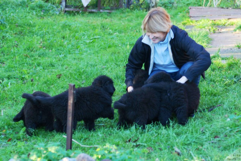 Фотография № 214933