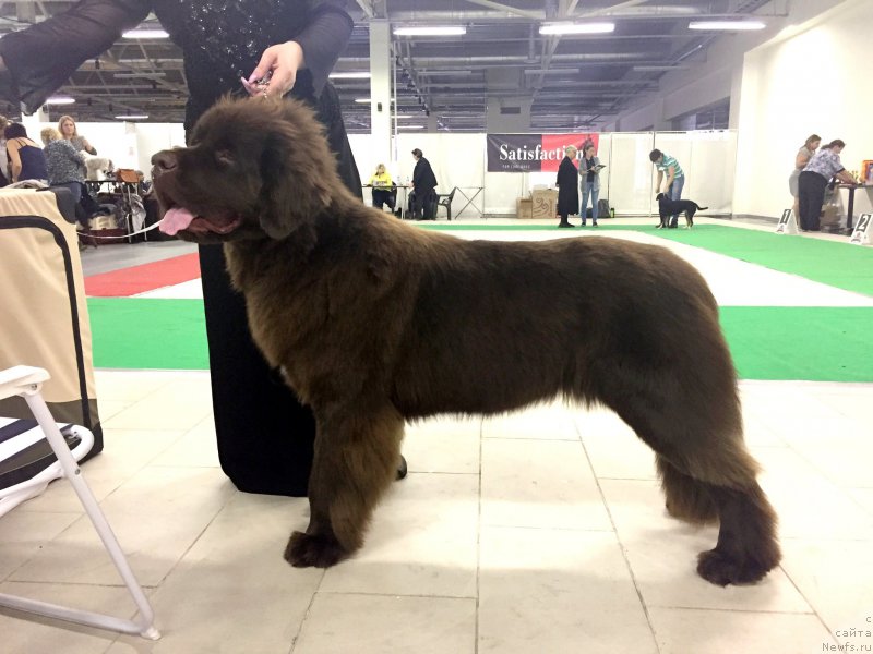 Фотография № 214940