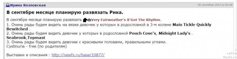 Фотография № 214978