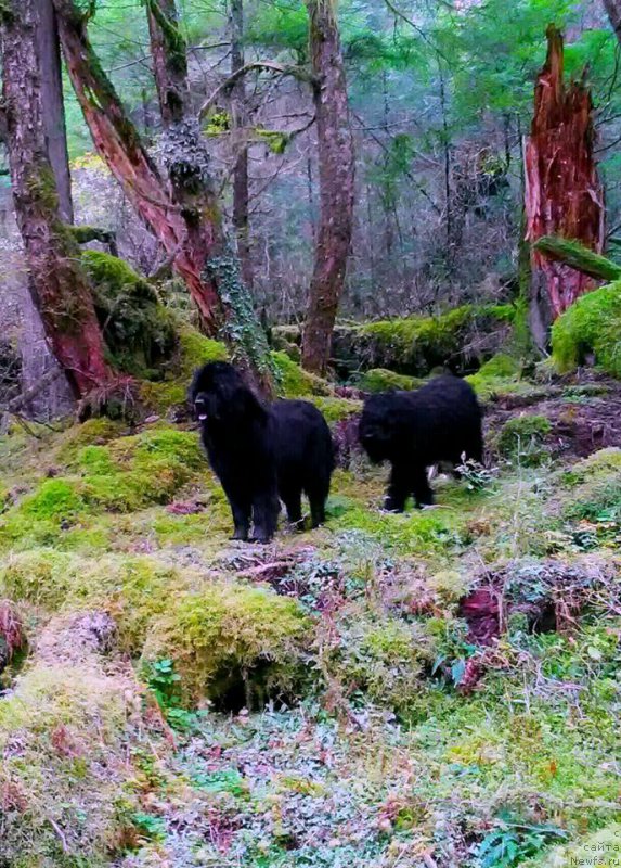 Фотография № 214999