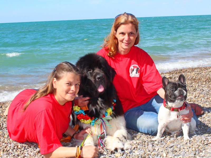 Фотография № 215179