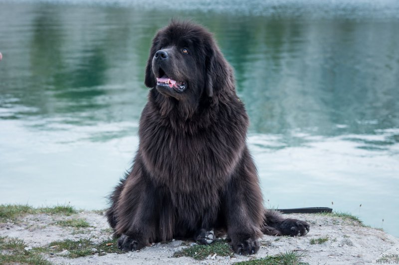 Фотография № 215180