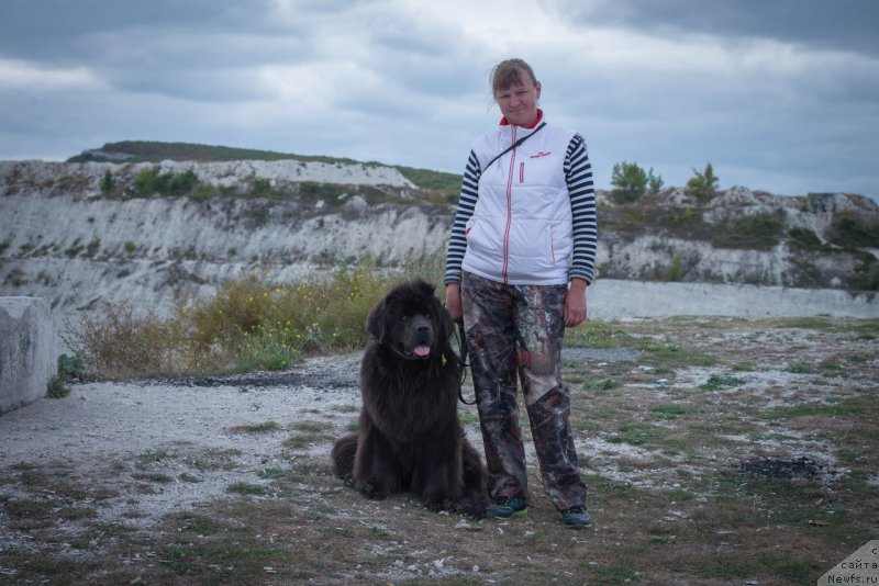 Фотография № 215182