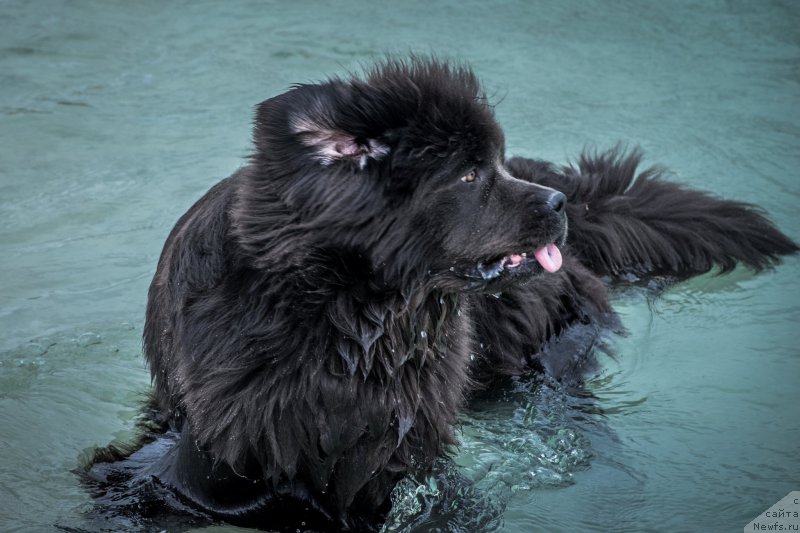 Фотография № 215183