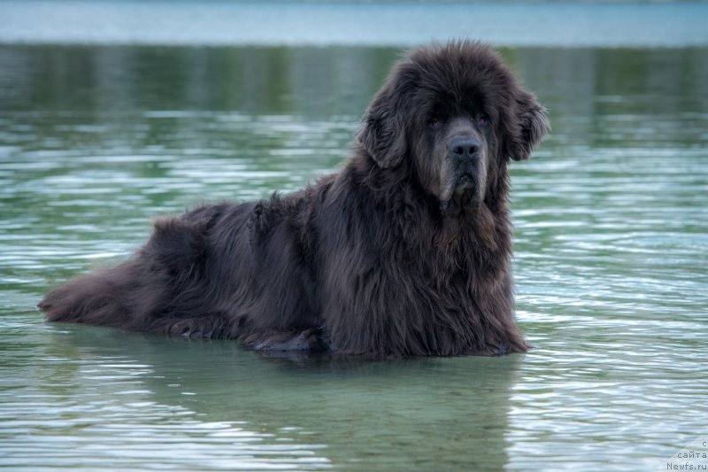 Фотография № 215184