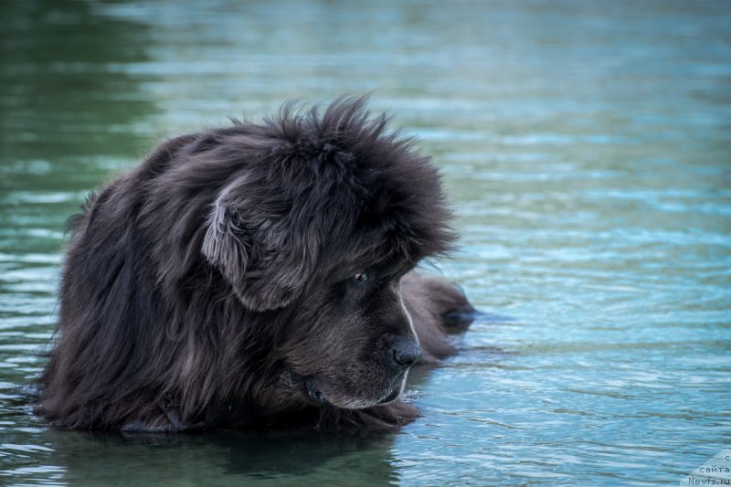 Фотография № 215186