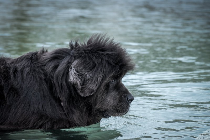 Фотография № 215187