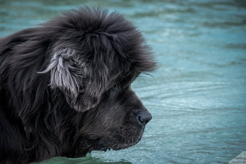 Фотография № 215188