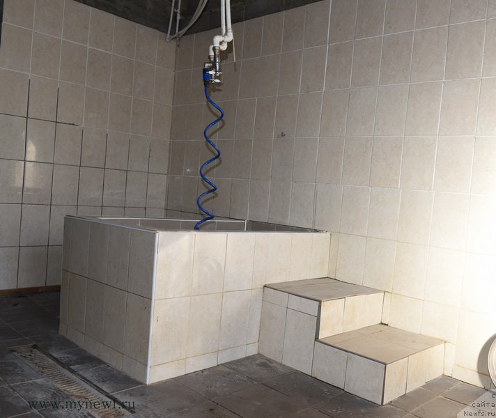 Фотография № 215199