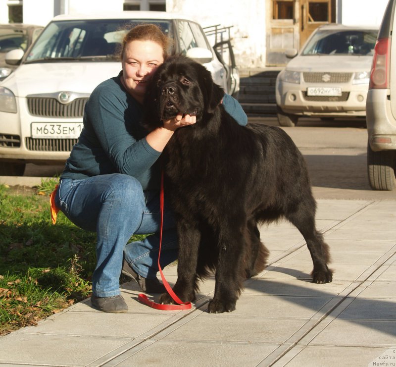 Фотография № 215257