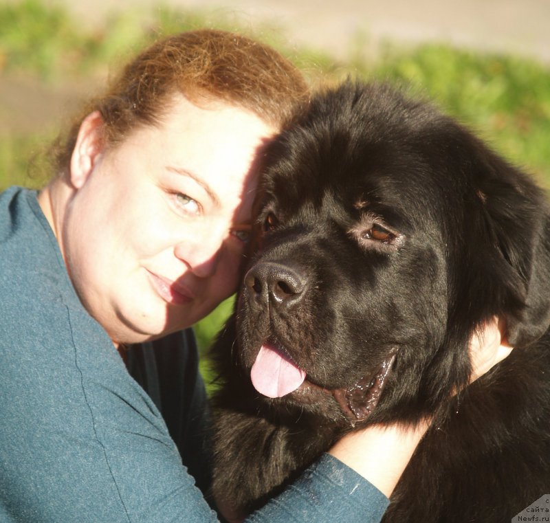 Фото: ньюфаундленд Смигар Умница Разумница