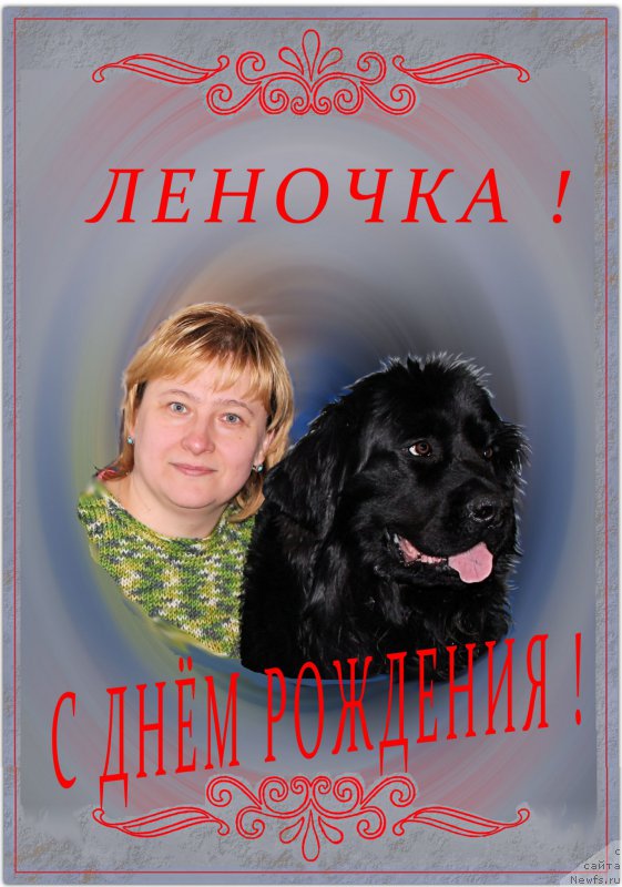 Фотография № 215278