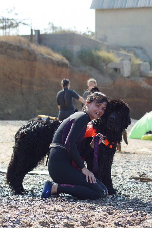 Фотография № 215369