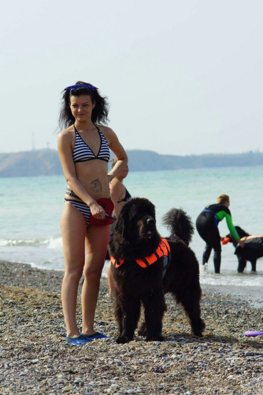 Фотография № 215371