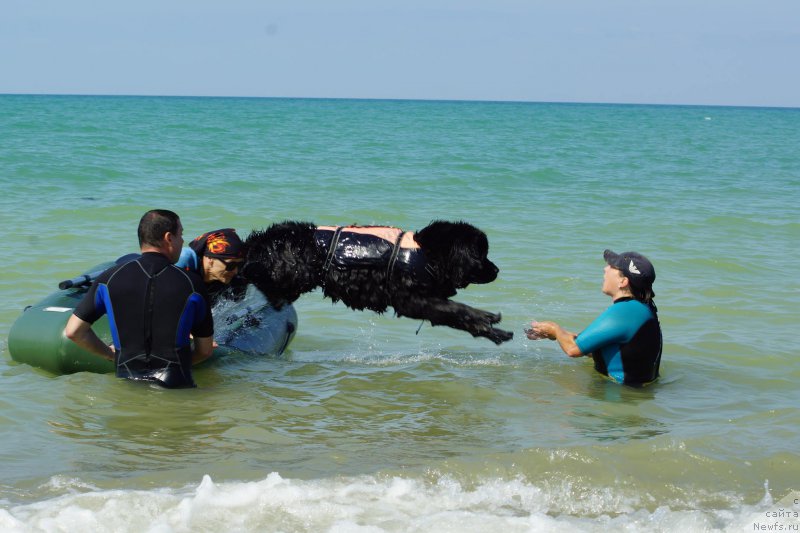 Фотография № 215374