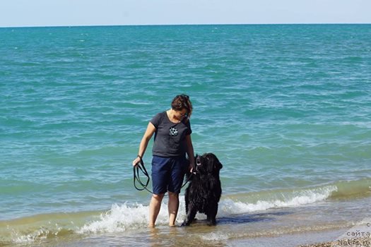 Фотография № 215376