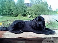 Фотография № 215380