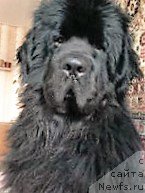 Фотография № 215381