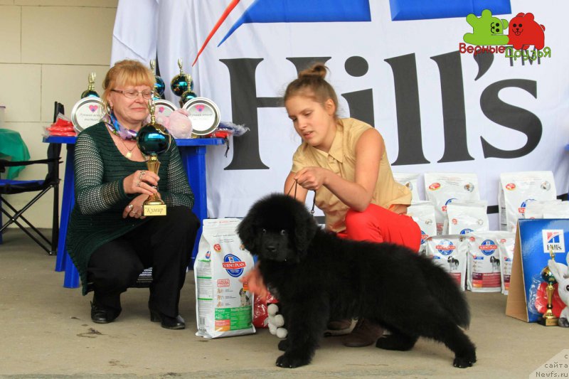 Фотография № 215394