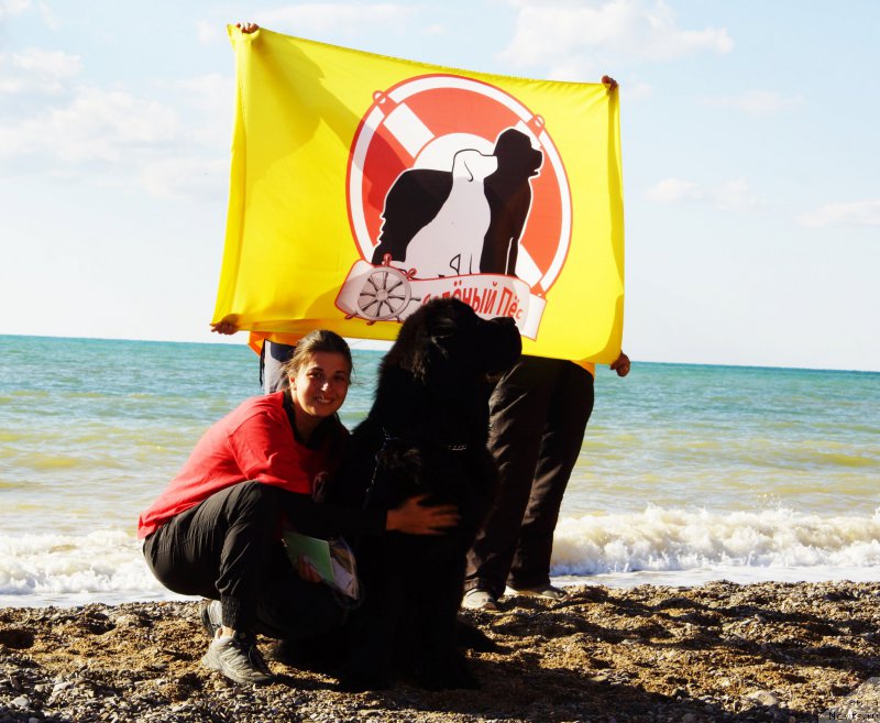 Фотография № 215404