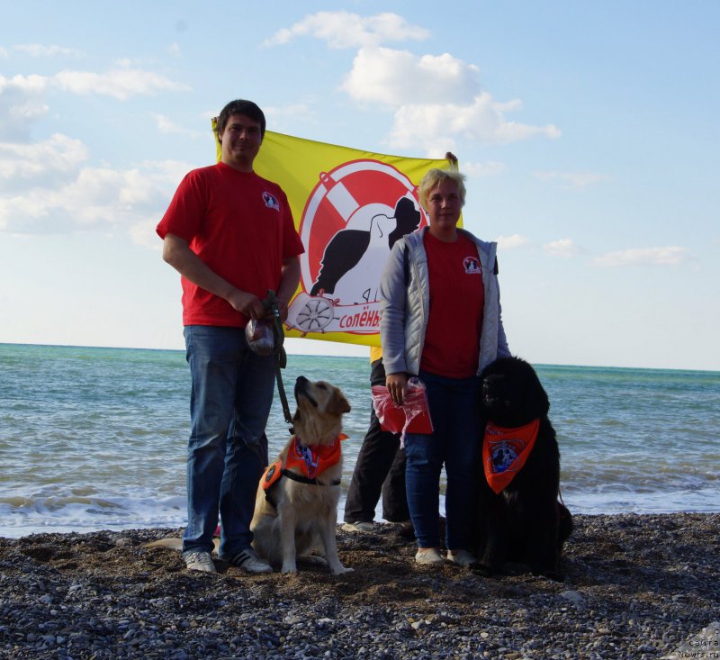 Фотография № 215406