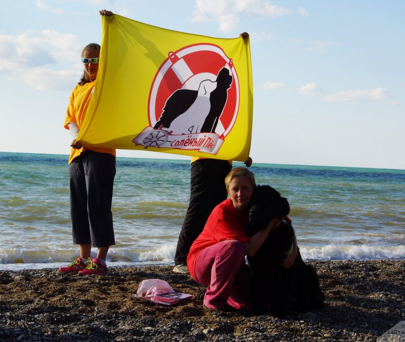 Фотография № 215407