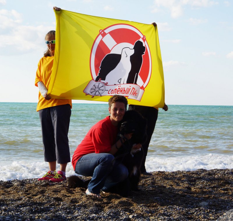 Фотография № 215408