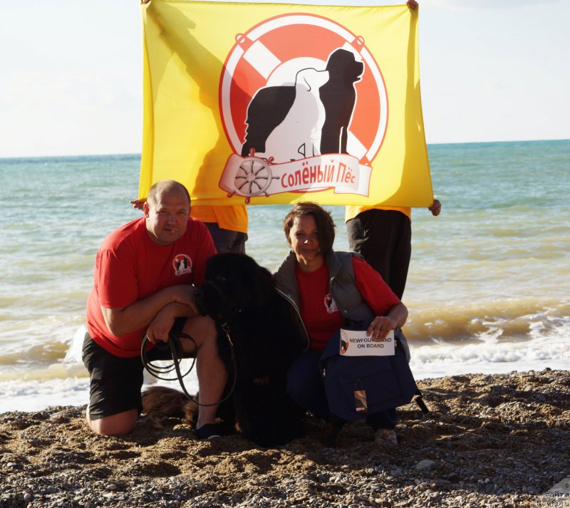 Фотография № 215410