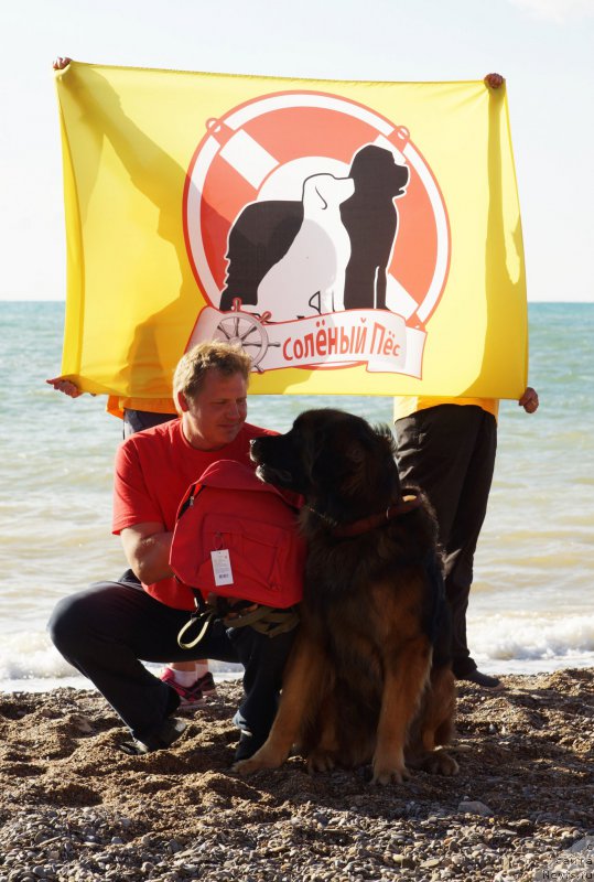 Фотография № 215411