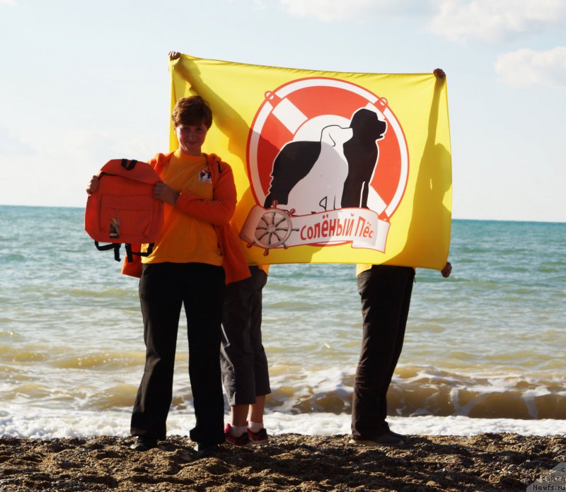 Фотография № 215414