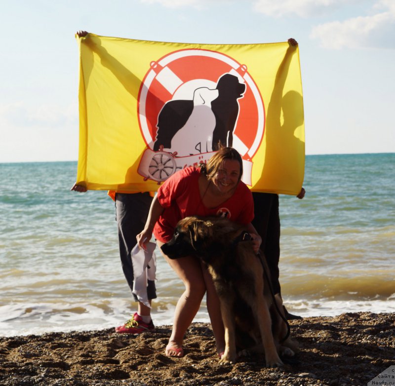 Фотография № 215415