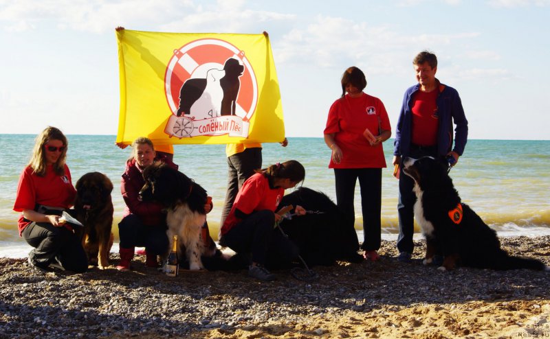 Фотография № 215418