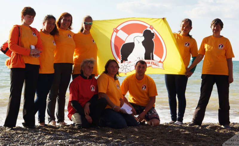 Фотография № 215419