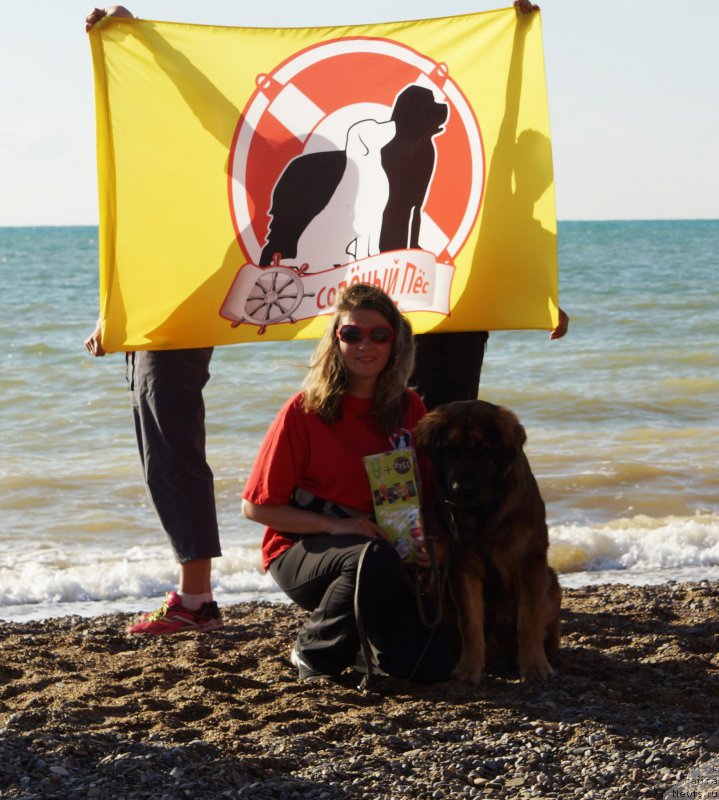 Фотография № 215422