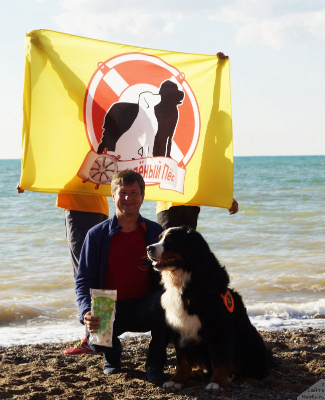 Фотография № 215423