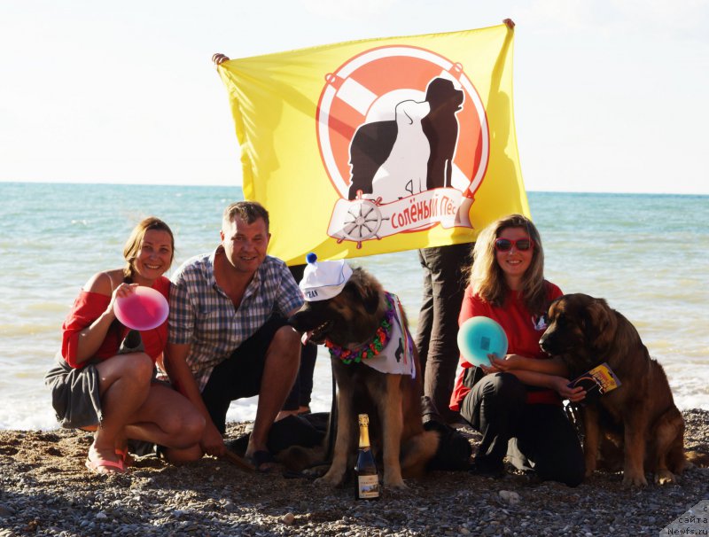 Фотография № 215426