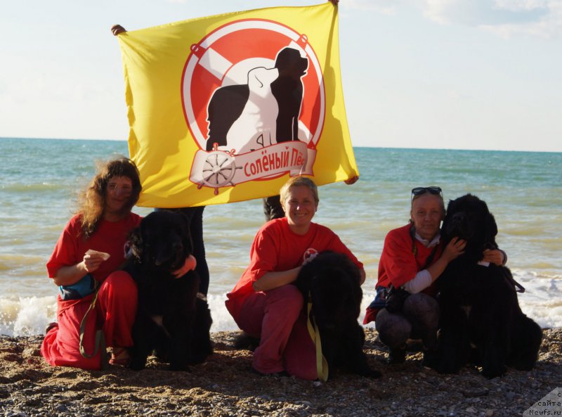 Фотография № 215430