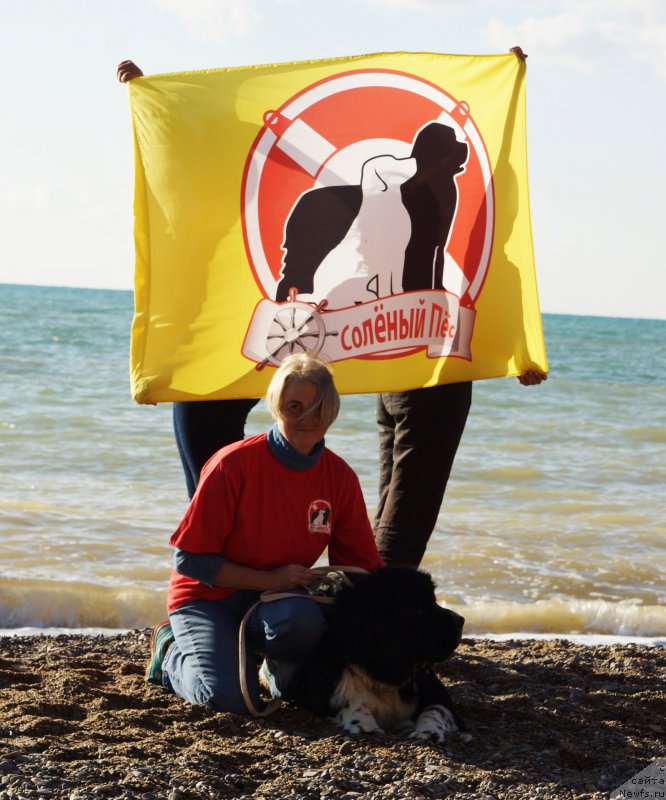 Фотография № 215431