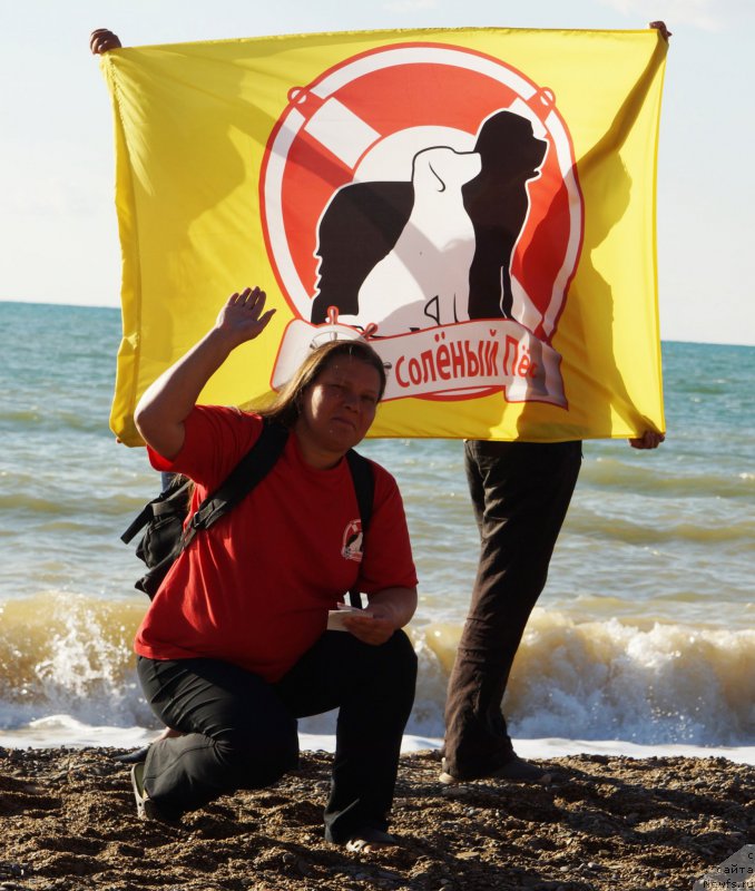 Фотография № 215433