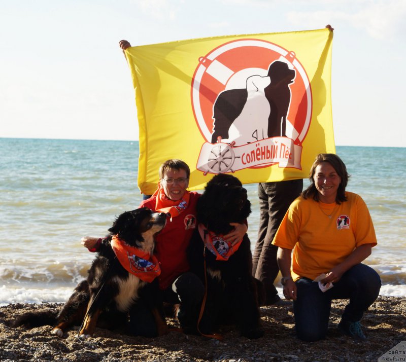 Фотография № 215434