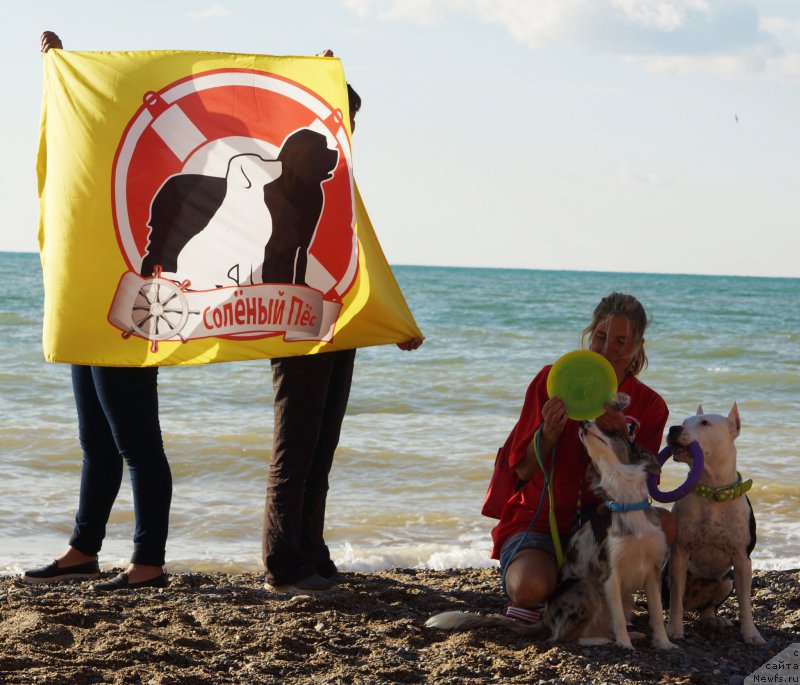 Фотография № 215436