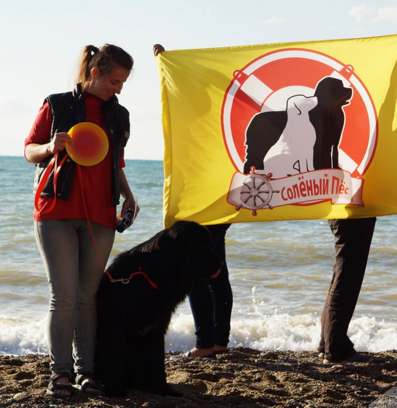 Фотография № 215437